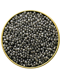 Beluga Caviar Huso Huso