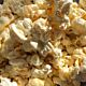 Blizzard white chocolate caramel gourmet popcorn by Colorado Kernels in blue package