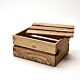 Recycled Colorado Beetle Kill Crate