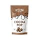 Kettle Head Cocoa Pop Popcorn – Denver Made Vegan Gourmet Snack