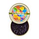 Sturia Primeur Caviar