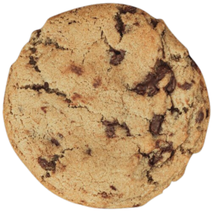 Gnarly Mountain Tripple Chocolate Chunk Cookie