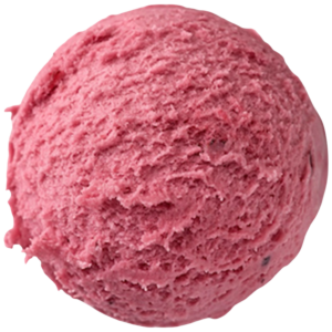 Bindi Forest Berry Sorbetto – 1.24 Gallon Tub