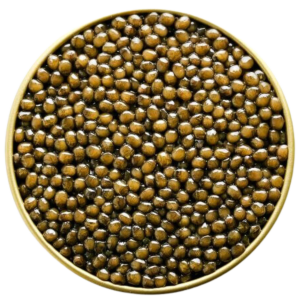 Karat Russian Osetra Gold Acipenser Gueldenstaedtii – Israel